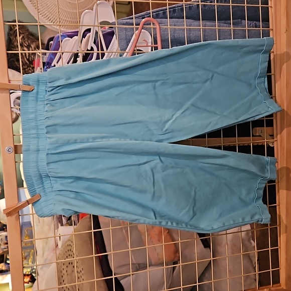 Pre loved from mom's closet Like NEW Only worn 1 time Women's shorts medium Aqua - Picture 6 of 12